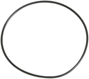 O-ring