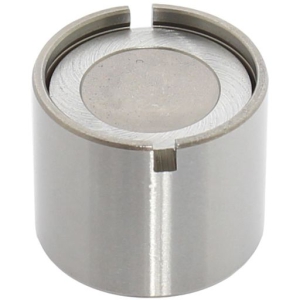 Valve lifter