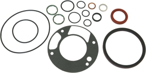 Conversion gasket set