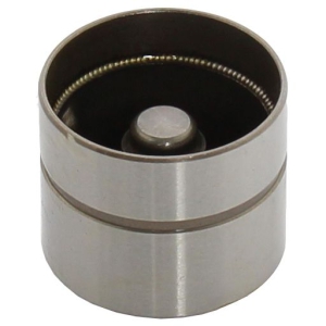 Valve lifter