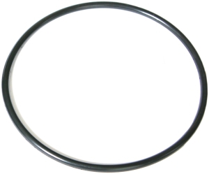 O-ring fuel pump