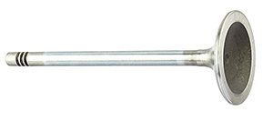 Engine valve intake