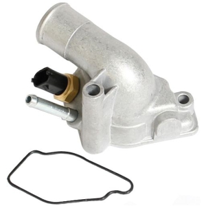 Thermostat house