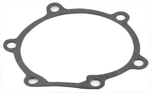 Water pump gasket for 26349948