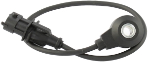 Knock sensor