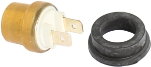 Thermo switch