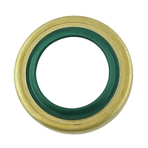 Radial oil seal bevel gear