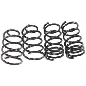 Coil spring sport kit