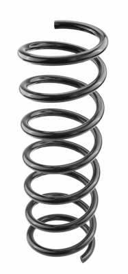 Coil spring rear