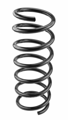 Coil spring rear