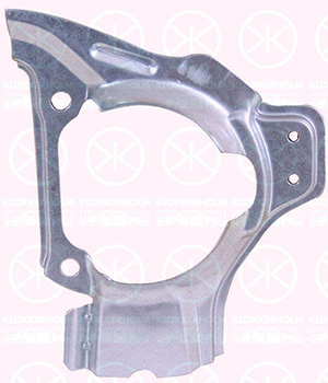 Brake dust shield front right