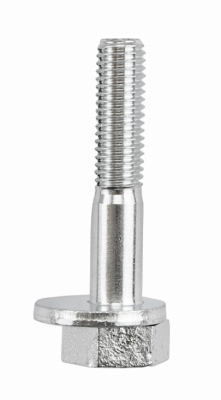 Camber adjusting screw