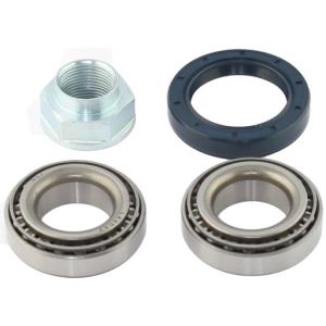 Wheel bearing kit rear