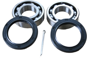 Wheel bearing kit rear