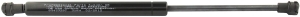 Gas spring rear