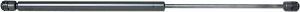 Gas spring rear