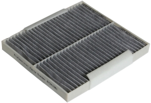 Fresh air filter carbon