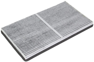 Fresh air filter carbon