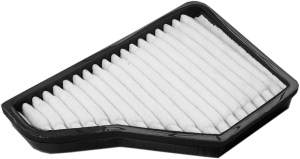 Fresh air filter carbon