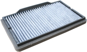Fresh air filter carbon