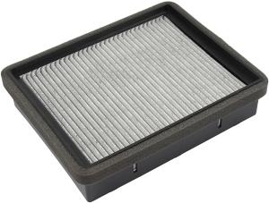Fresh air filter carbon