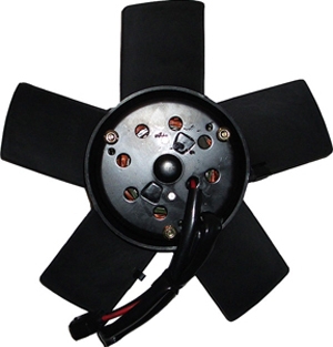 Radiator fan motor