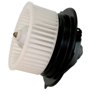 Heater motor