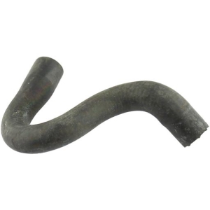 Radiator hose