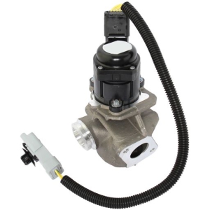 EGR valve
